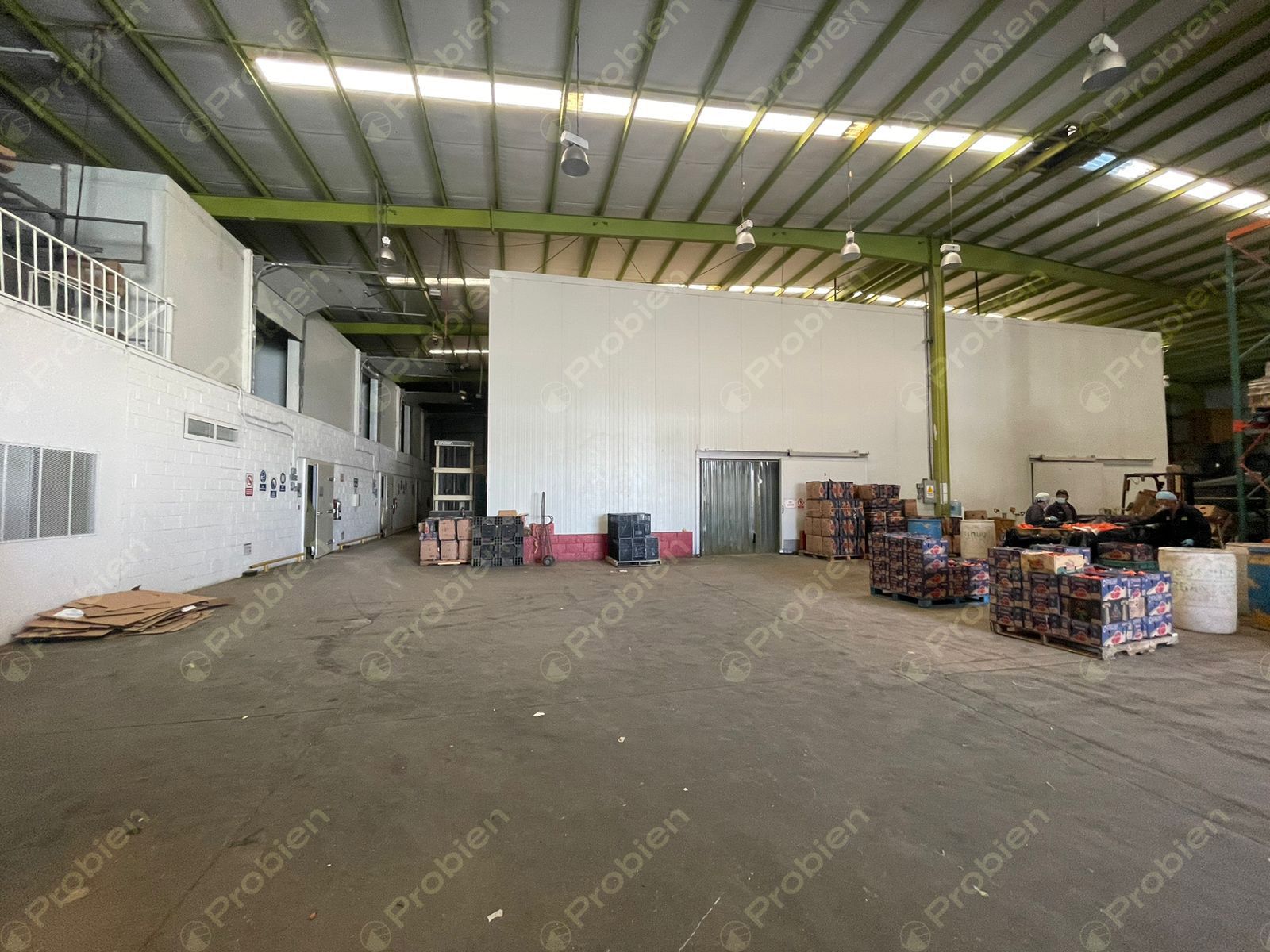 Bodega en Renta en Via Rápida Zona Rio 3ra etapa