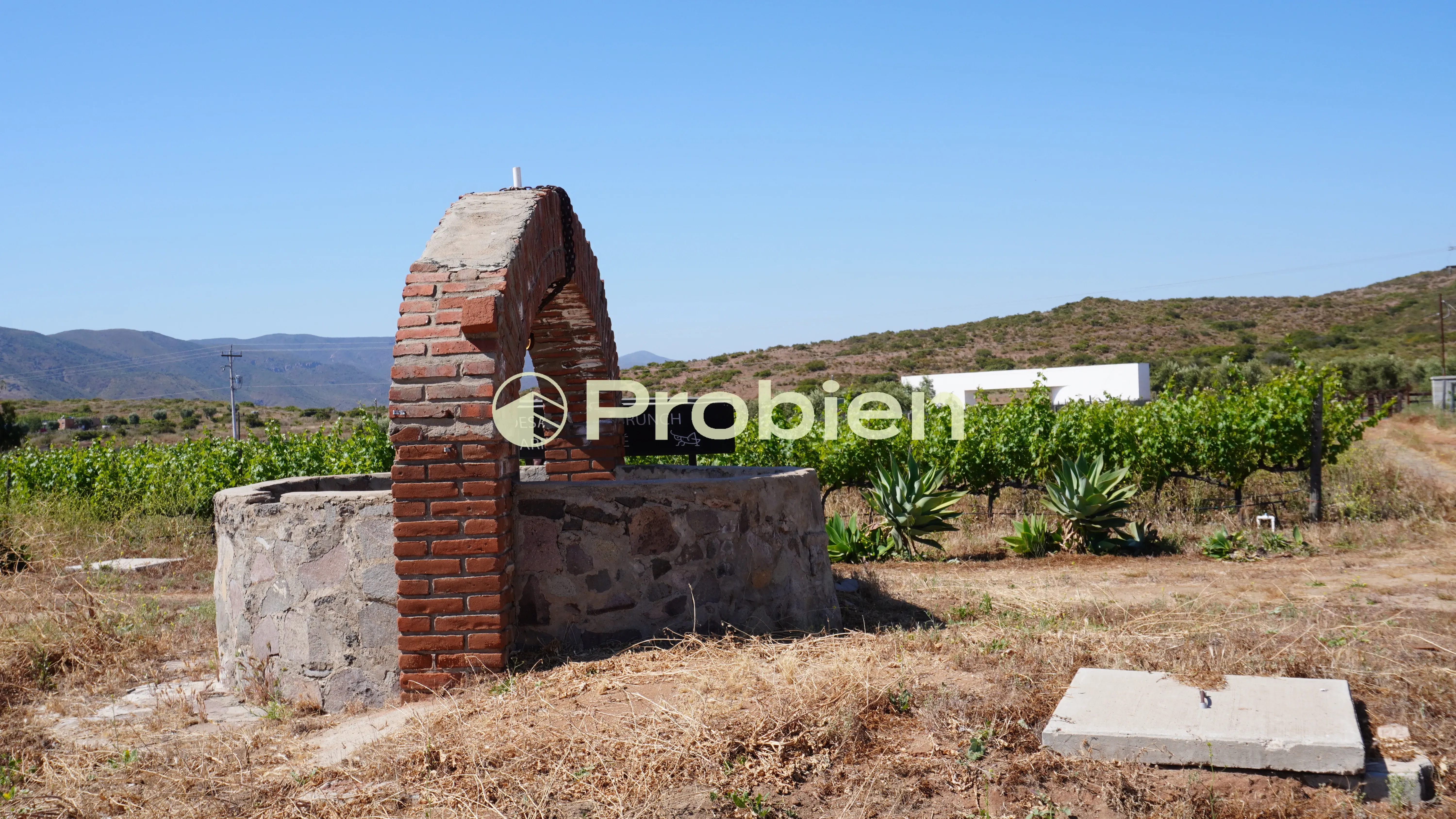 Vinicola en Venta - Valle de Guadalupe