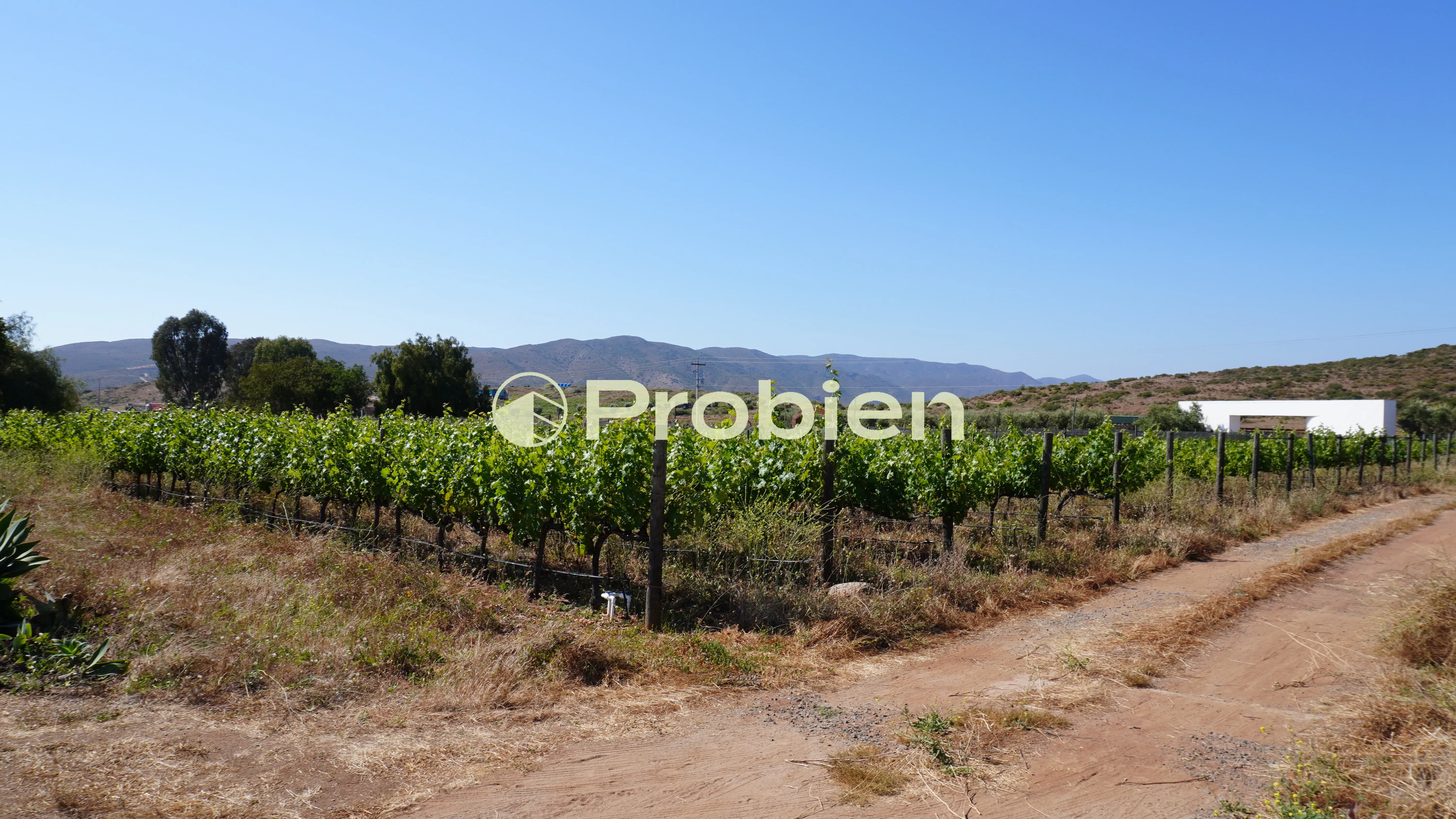 Vinicola en Venta - Valle de Guadalupe