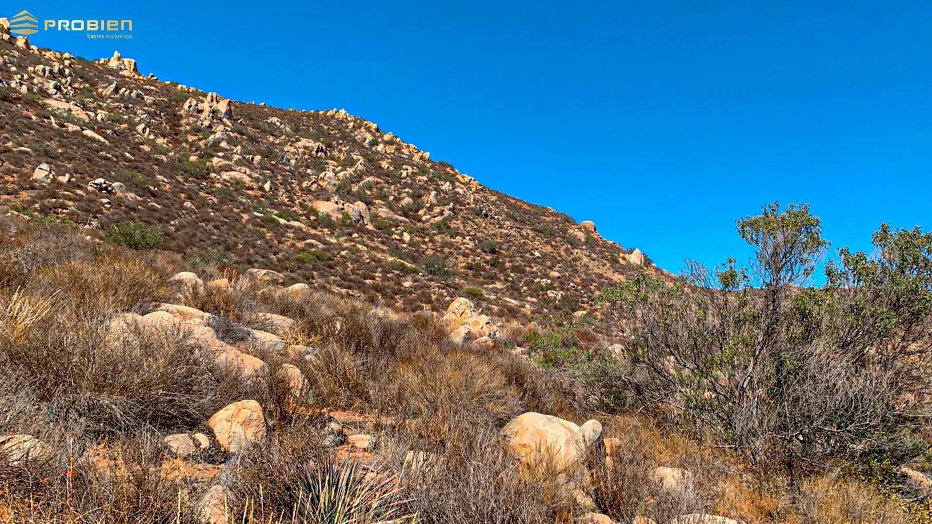 Terreno para desarrollo en Venta - Valle de Guadalupe