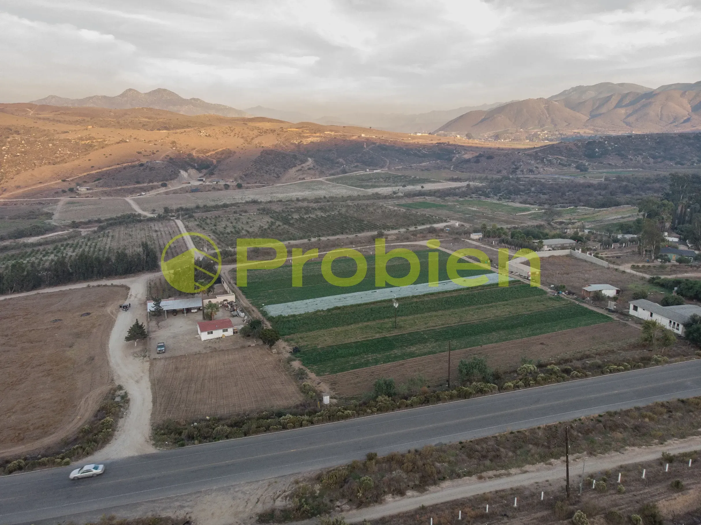 Viñedo Avilas en Venta - Ensenada