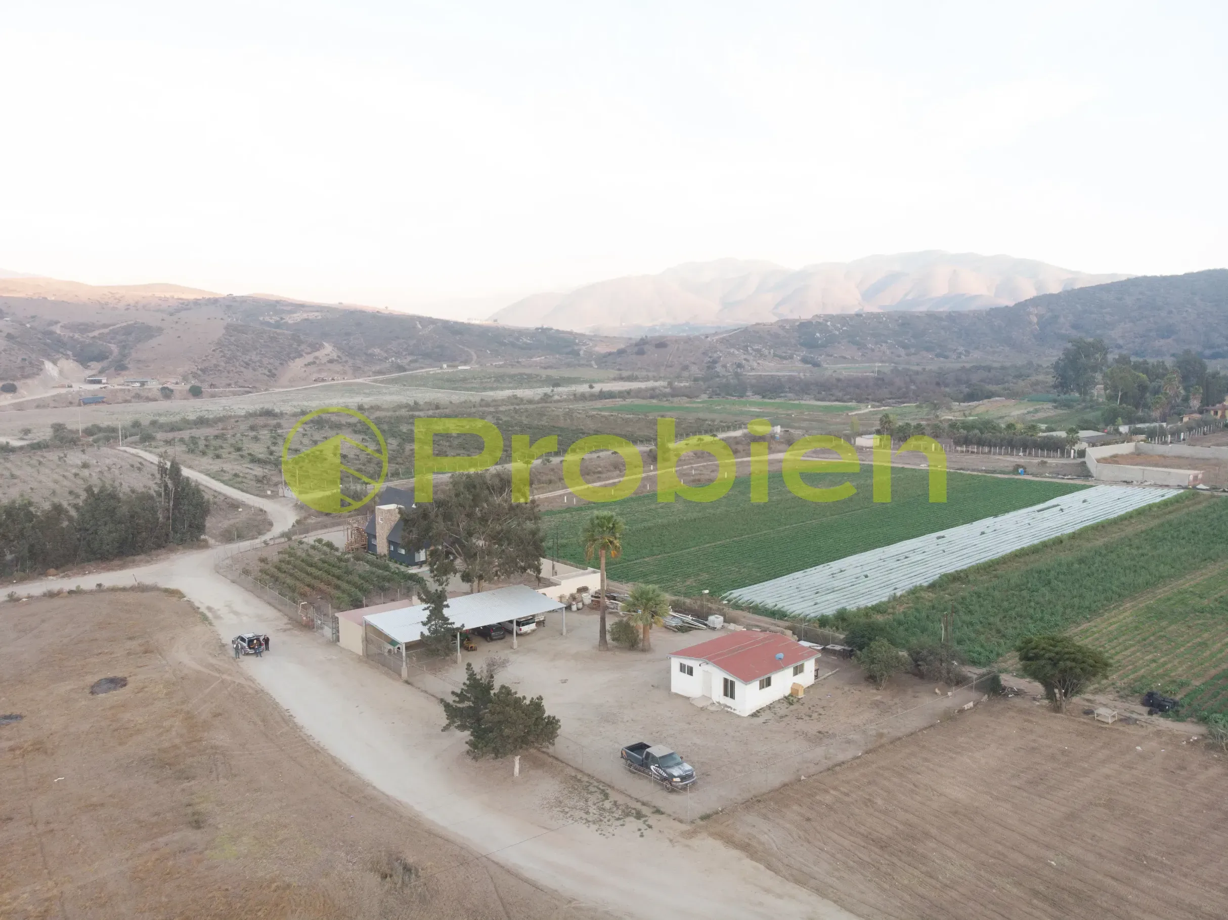 Viñedo Avilas en Venta - Ensenada